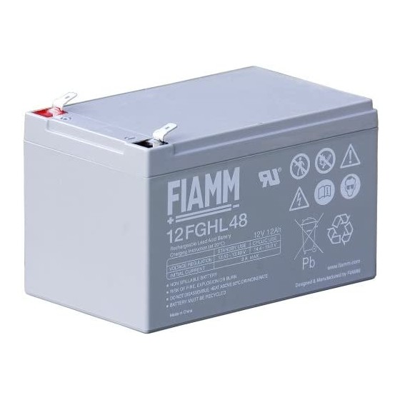 BATTERIA UPS FIAMM 12V 12...